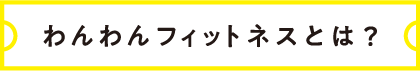 わんわんフィットネスとは？