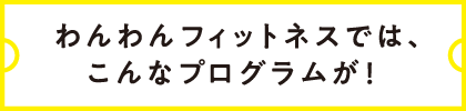 わんわんフィットネスでは、こんなプログラムが！