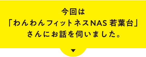 今回は「わんわんフィットネス NAS若葉台」さんにお話を伺いました。