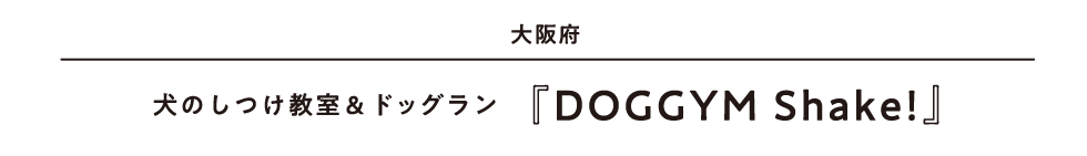 大阪府 犬のしつけ教室＆ドッグラン『DOGGYM Shake!』
