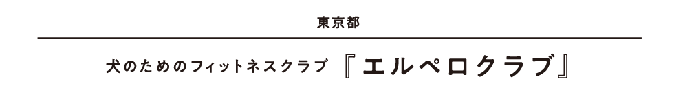 東京都 犬のためのフィットネスクラブ『エルペロクラブ』