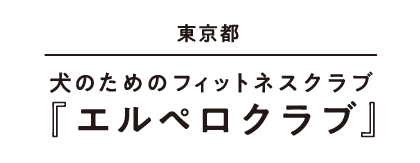 東京都 犬のためのフィットネスクラブ『エルペロクラブ』