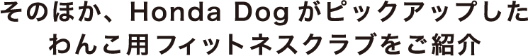 そのほか、Honda Dogがピックアップしたわんこ用フィットネスクラブをご紹介