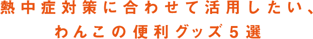 熱中症対策に合わせて活用したい、わんこの便利グッズ5選