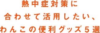 熱中症対策に合わせて活用したい、わんこの便利グッズ5選