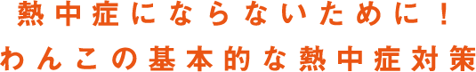 熱中症にならないために！わんこの基本的な熱中症対策