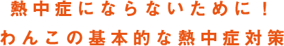 熱中症にならないために！わんこの基本的な熱中症対策