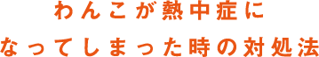 わんこが熱中症になってしまった時の対処法