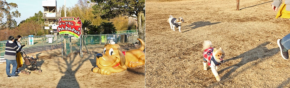 わんわんPark（ドッグラン）