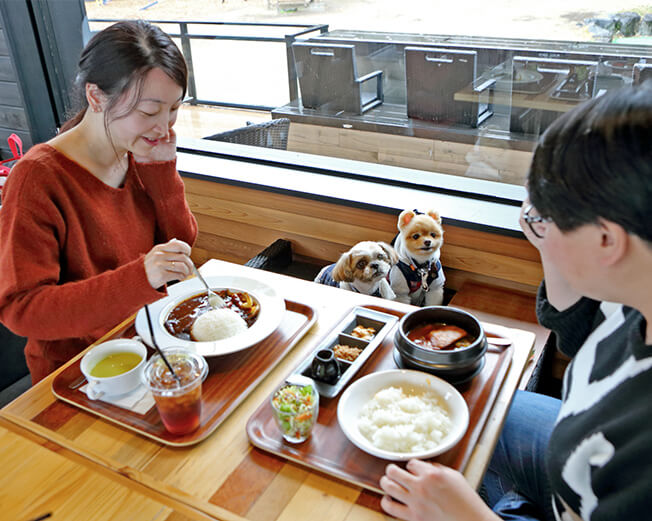 愛犬の駅でランチタイム