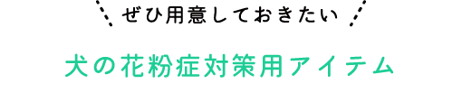 ぜひ用意しておきたい犬の花粉症対策用アイテム