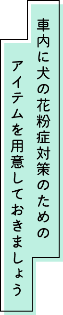 車内に犬の花粉症対策のためのアイテムを用意しておきましょう