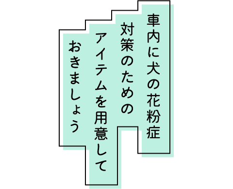 車内に犬の花粉症対策のためのアイテムを用意しておきましょう