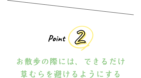 Point 2 お散歩の際には、できるだけ草むらを避けるようにする