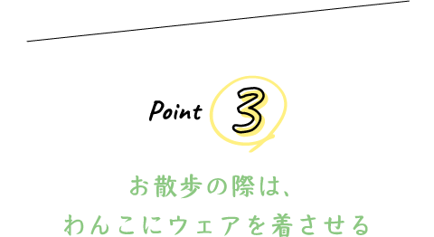 Point 3 お散歩の際は、わんこにウェアを着させる