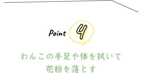 Point 4 わんこの手足や体を拭いて花粉を落とす