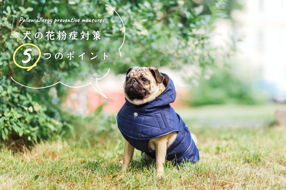 犬の花粉症対策 5つのポイント