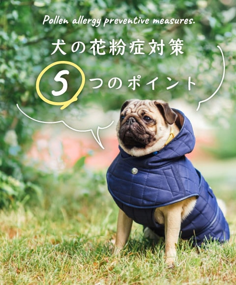 犬の花粉症対策 5つのポイント