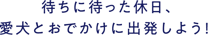 待ちに待った休日、愛犬とおでかけに出発しよう！