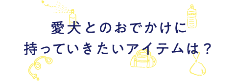 愛犬とのおでかけに持っていきたいアイテムは？