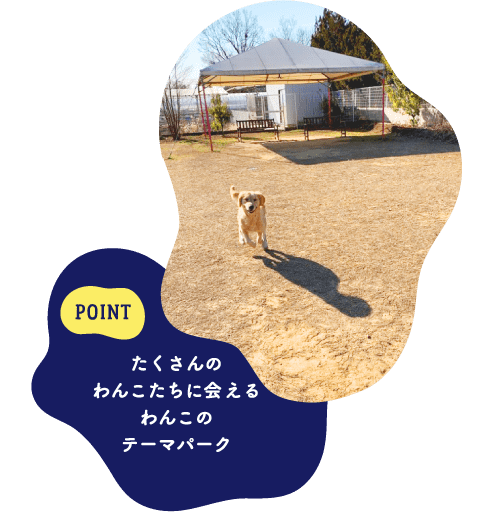 POINT たくさんのわんこたちに会えるわんこのテーマパーク