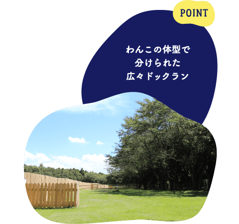 POINT わんこの体型で分けられた広々ドッグラン