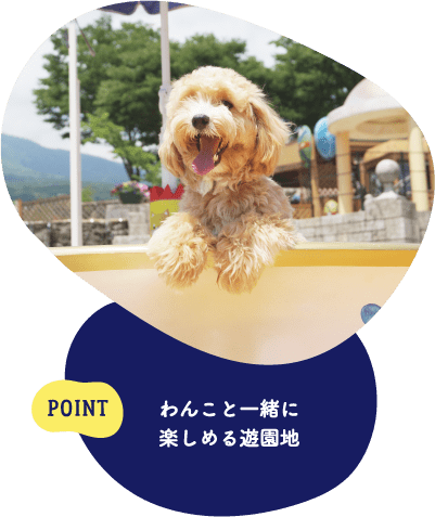 POINT わんこと一緒に楽しめる遊園地