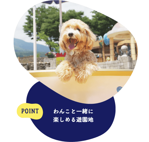 POINT わんこと一緒に楽しめる遊園地