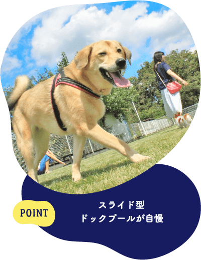 POINT スライド型ドッグプールが自慢