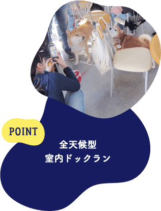 POINT 全天候型室内ドッグラン