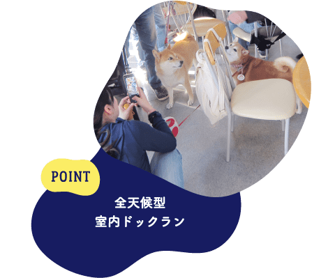 POINT 全天候型室内ドッグラン