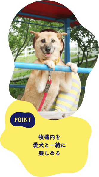 POINT 牧場内を愛犬と一緒に楽しめる