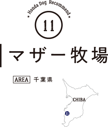 Honda Dog Recommend 11 マザー牧場（千葉県）