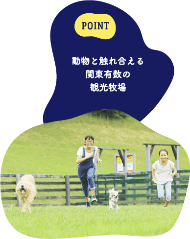 POINT 動物と触れ合える関東有数の観光牧場