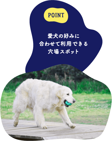 POINT 愛犬の好みに合わせて利用できる穴場スポット