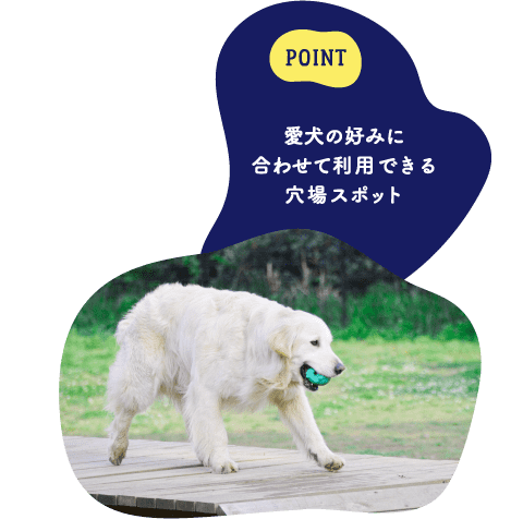 POINT 愛犬の好みに合わせて利用できる穴場スポット