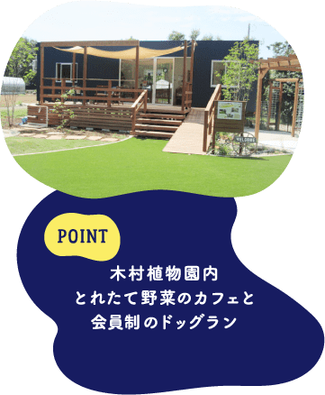 POINT 木村植物園内とれたて野菜のカフェと会員制のドッグラン