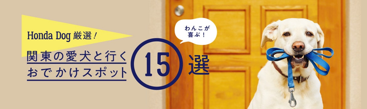 Honda Dog厳選！わんこが喜ぶ！関東の愛犬と行くおでかけスポット15選