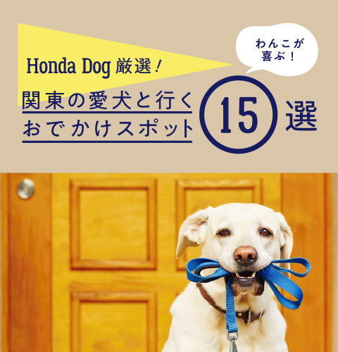 Honda Dog厳選！わんこが喜ぶ！関東の愛犬と行くおでかけスポット15選