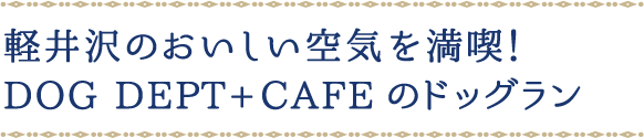 軽井沢のおいしい空気を満喫！DOG DEPT+CAFEのドッグラン