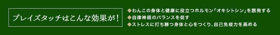 プレイズタッチはこんな効果が！