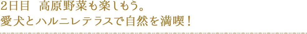 2日目 高原野菜も楽しもう。愛犬とハルニレテラスで自然を満喫！