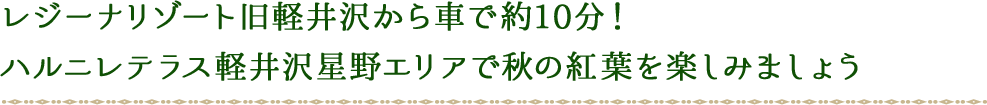 レジーナリゾート旧軽井沢から車で約10分！ハルニレテラス軽井沢星野エリアで秋の紅葉を楽しみましょう