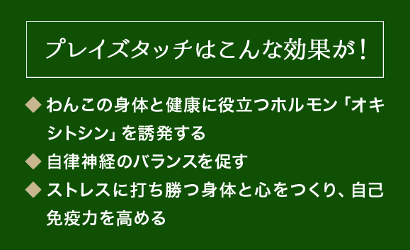 プレイズタッチはこんな効果が！