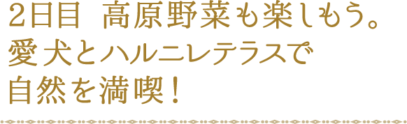 2日目 高原野菜も楽しもう。愛犬とハルニレテラスで自然を満喫！