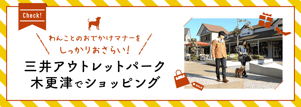 CHECK! わんことのおでかけマナーをおさらい！三井アウトレットパーク 木更津でショッピング