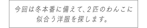 今回は冬本番に備えて、2匹のわんこに似合う洋服を探します。