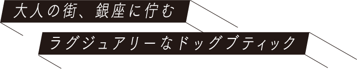 大人の街、銀座に佇むラグジュアリーなドッグブティック