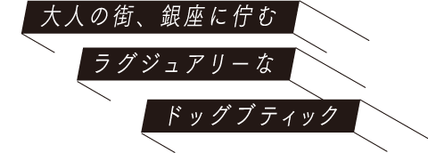 大人の街、銀座に佇むラグジュアリーなドッグブティック