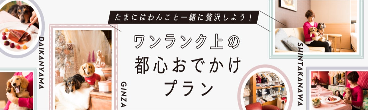 たまにはわんこと一緒に贅沢しよう！ワンランク上の都心おでかけプラン